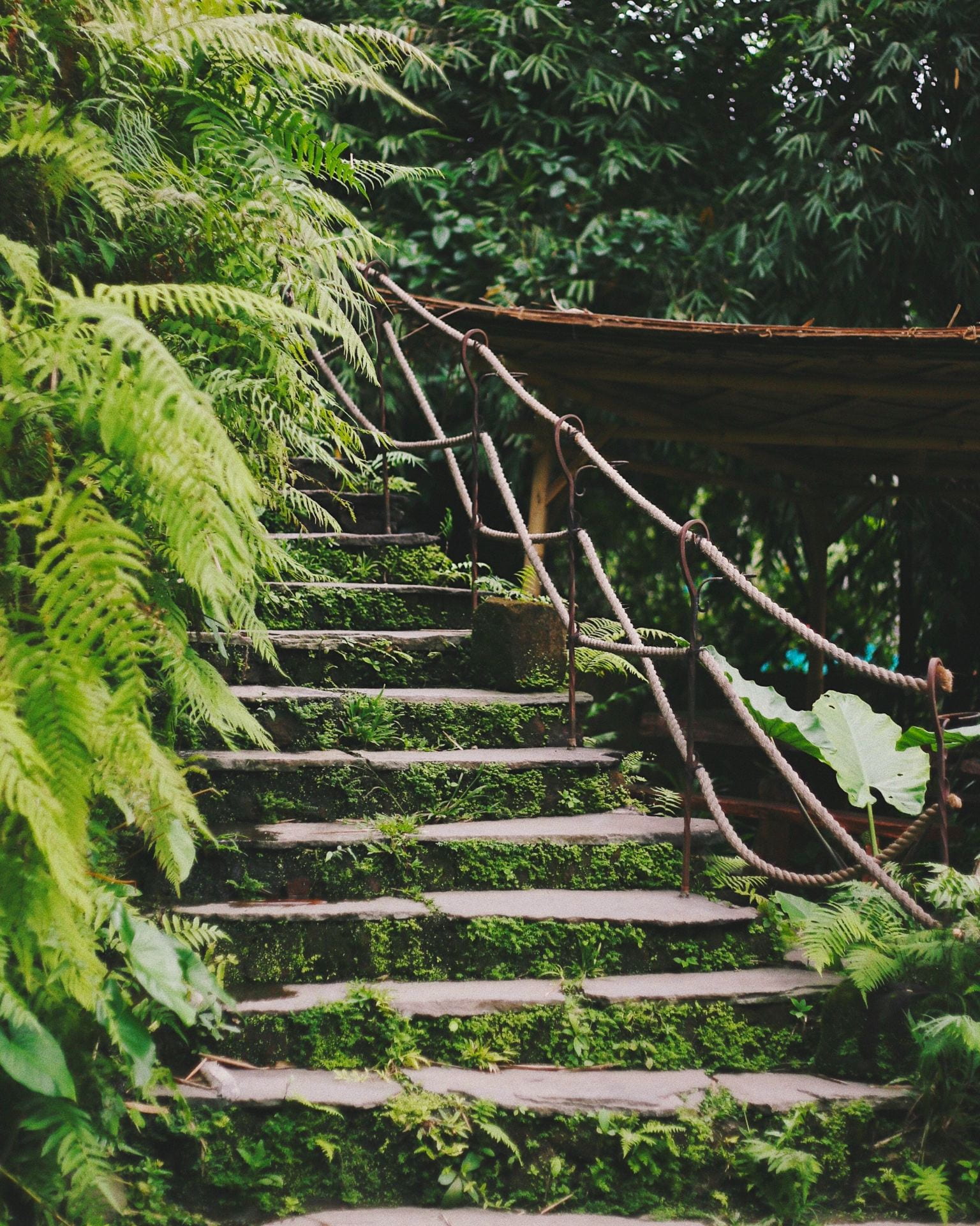 Outdoor staircase with foliage in Bambu Indah, Ubud, Indonesia